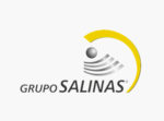 grupoSalinas-logo